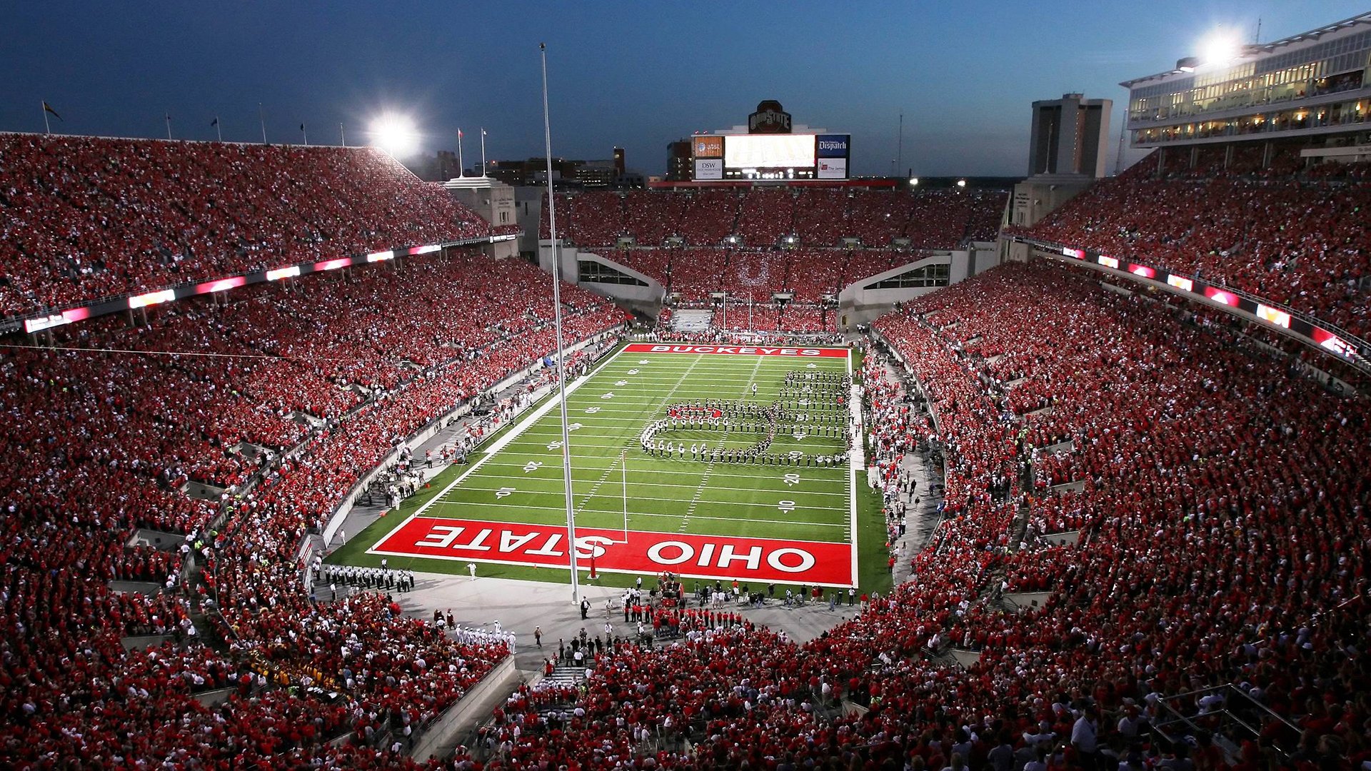 球迷狂欢：疯狂应援背后的动人故事，疯狂球迷冲进球场